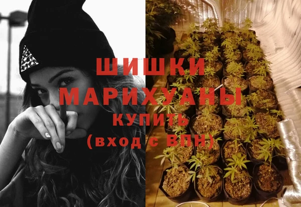 крисы Михайловка