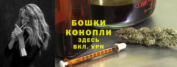сатива Михайлов