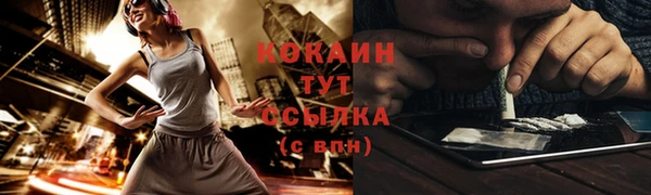 сатива Михайлов