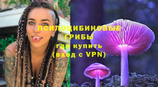 крисы Михайловка