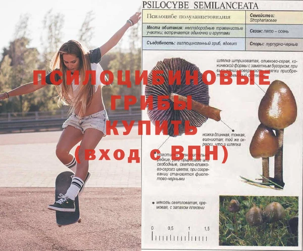 крисы Михайловка