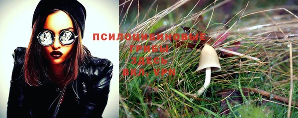 крисы Михайловка