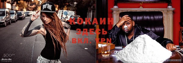 гидра Михайловск